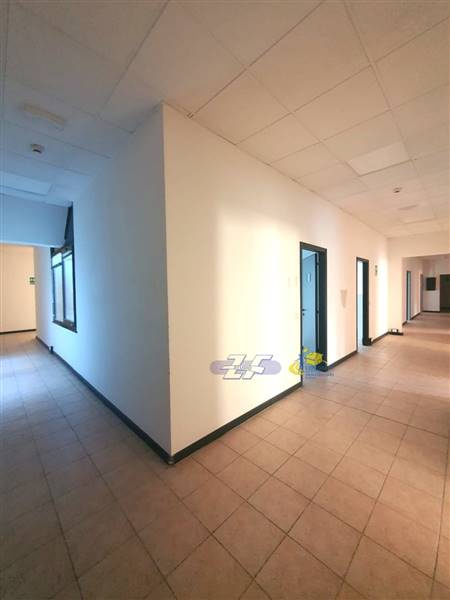 WhatsApp Image 2025-02-06 at 15.50.01.jpeg