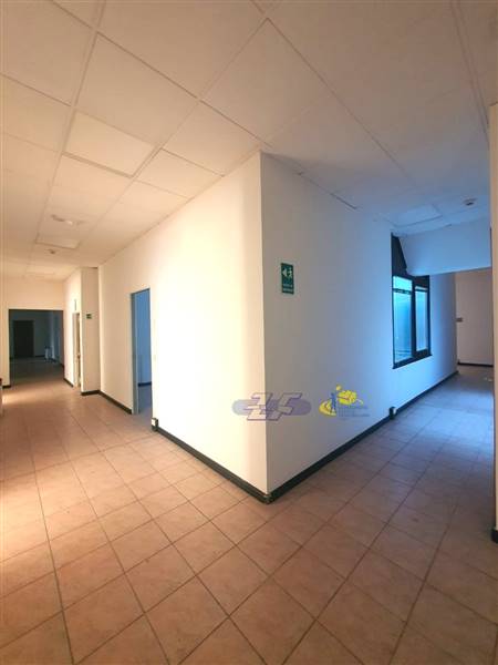 WhatsApp Image 2025-02-06 at 15.51.09.jpeg