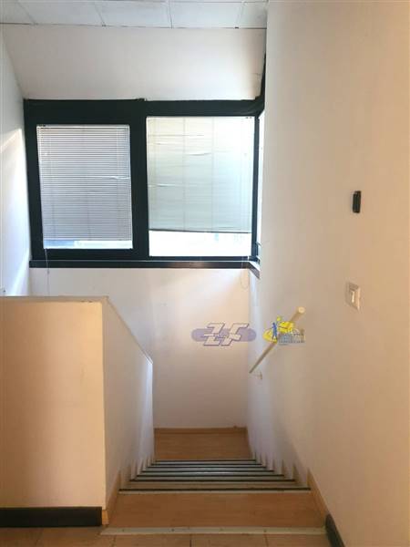 WhatsApp Image 2025-02-06 at 15.51.08.jpeg