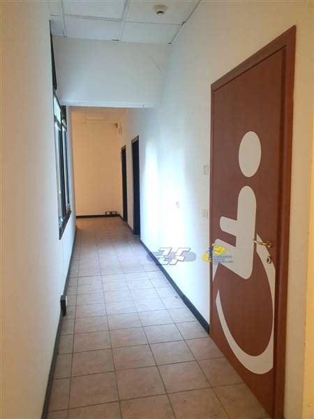 WhatsApp Image 2025-02-06 at 15.49.14.jpeg