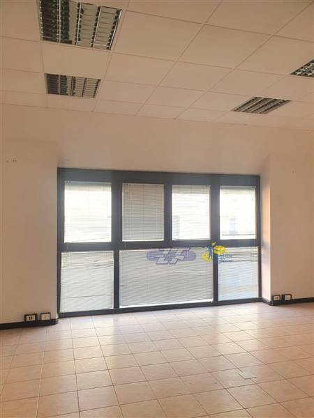 WhatsApp Image 2025-02-06 at 15.50.11.jpeg