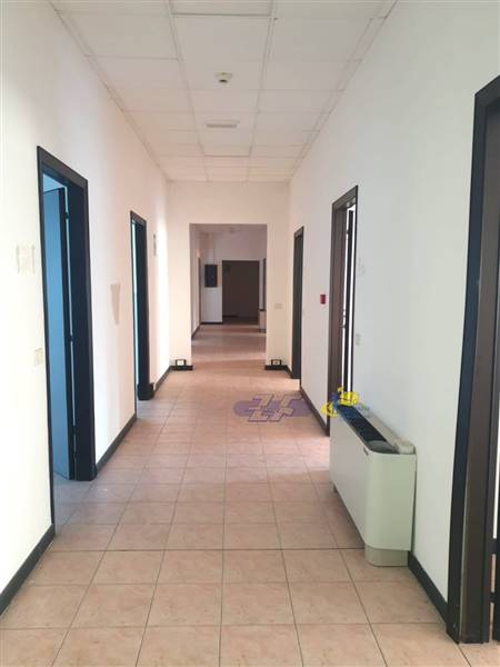 WhatsApp Image 2025-02-06 at 15.49.21.jpeg