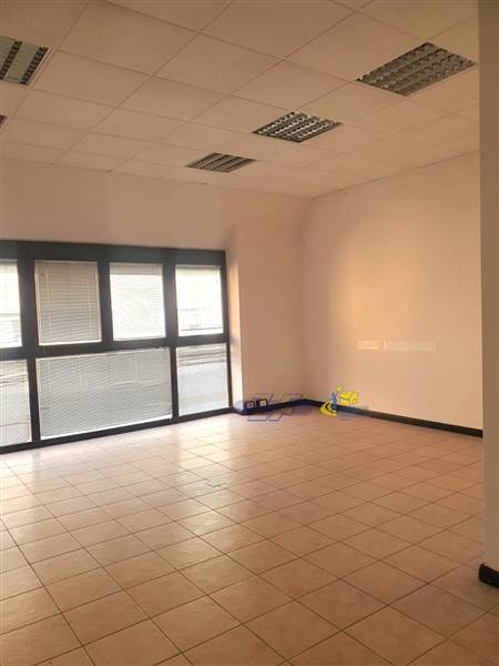 WhatsApp Image 2025-02-06 at 15.50.00.jpeg