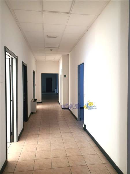 WhatsApp Image 2025-02-06 at 15.51.10.jpeg