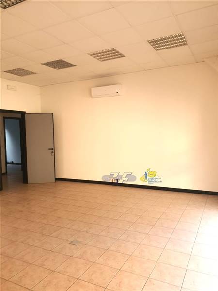 WhatsApp Image 2025-02-06 at 15.50.13.jpeg