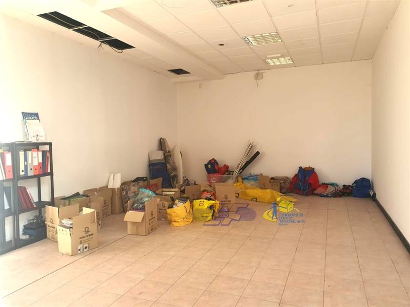 WhatsApp Image 2025-02-06 at 16.02.18 (1).jpeg