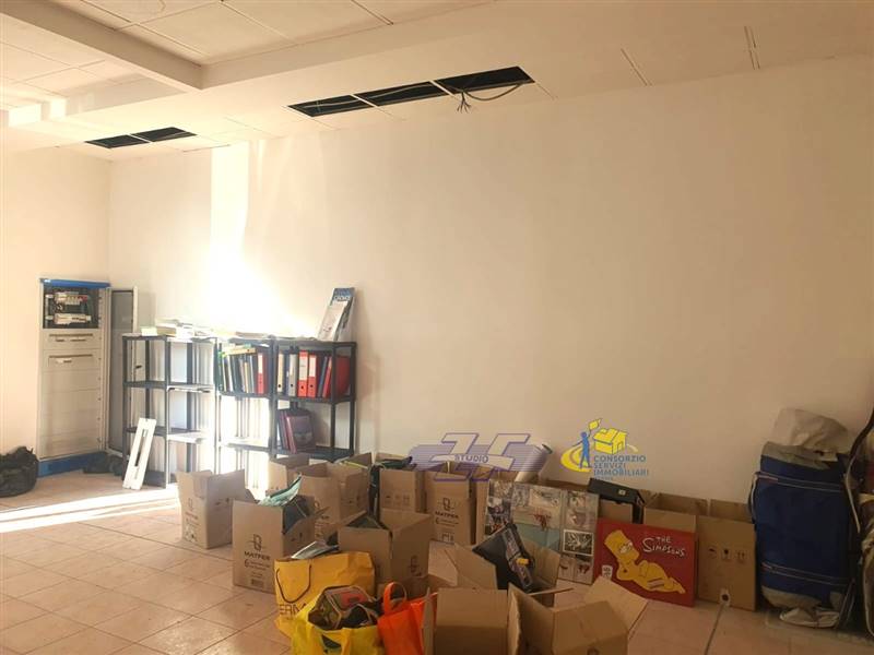 WhatsApp Image 2025-02-06 at 16.02.16 (4).jpeg