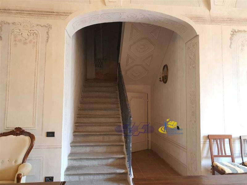 WhatsApp Image 2025-05-20 at 16.06.22.jpeg