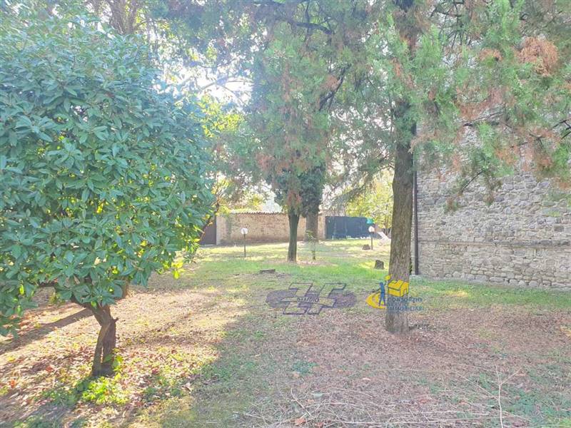 WhatsApp Image 2025-10-20 at 09.03.21.jpeg