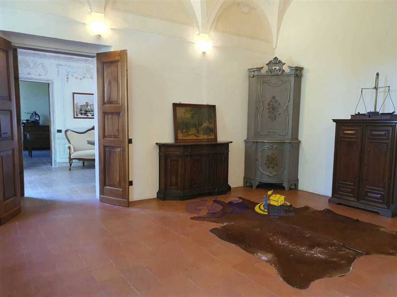 WhatsApp Image 2025-05-20 at 16.06.16.jpeg