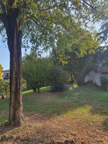 WhatsApp Image 2025-10-20 at 09.03.20 (1).jpeg