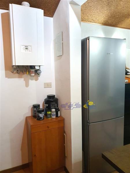 WhatsApp Image 2024-08-20 at 12.39.38.jpeg