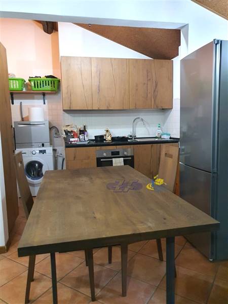 WhatsApp Image 2024-08-20 at 12.39.37.jpeg