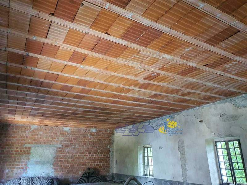 WhatsApp Image 2025-05-20 at 16.21.29.jpeg