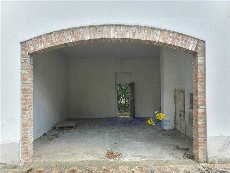 WhatsApp Image 2025-05-20 at 16.21.17.jpeg