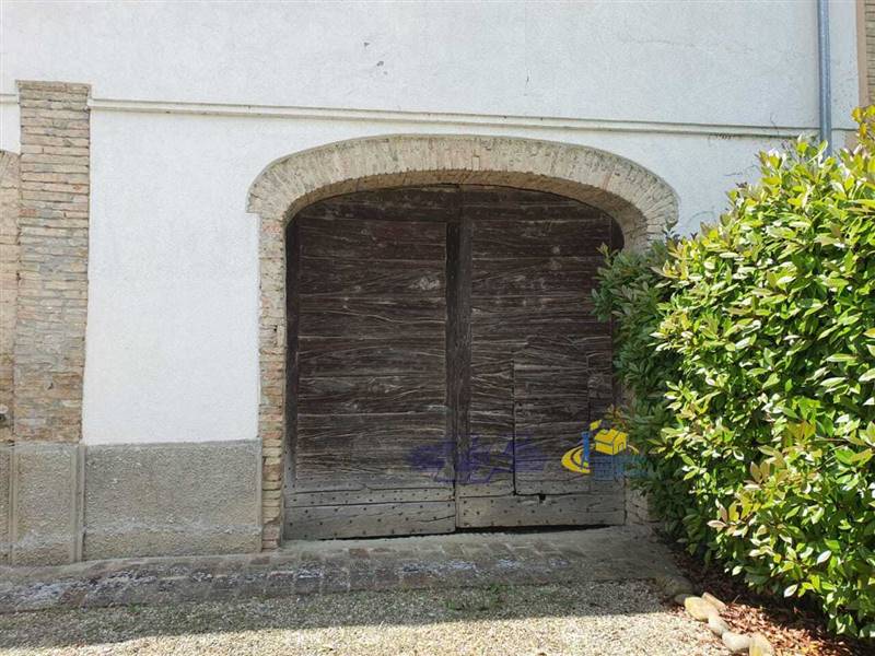 WhatsApp Image 2025-05-20 at 16.21.28.jpeg