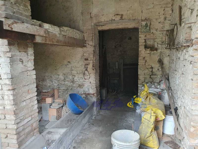 WhatsApp Image 2025-05-20 at 16.21.29 (1).jpeg