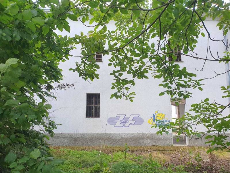 WhatsApp Image 2025-05-20 at 16.21.17 (1).jpeg