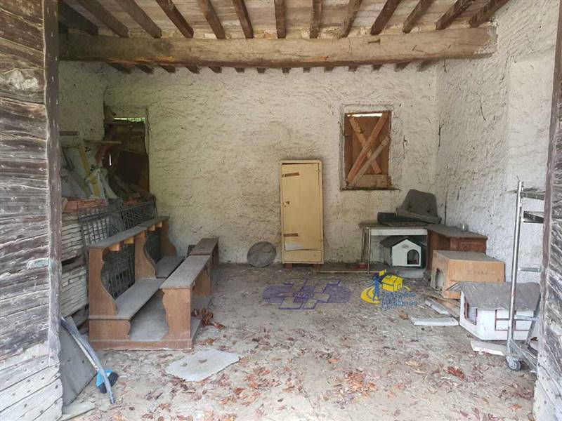 WhatsApp Image 2025-05-20 at 16.21.30.jpeg