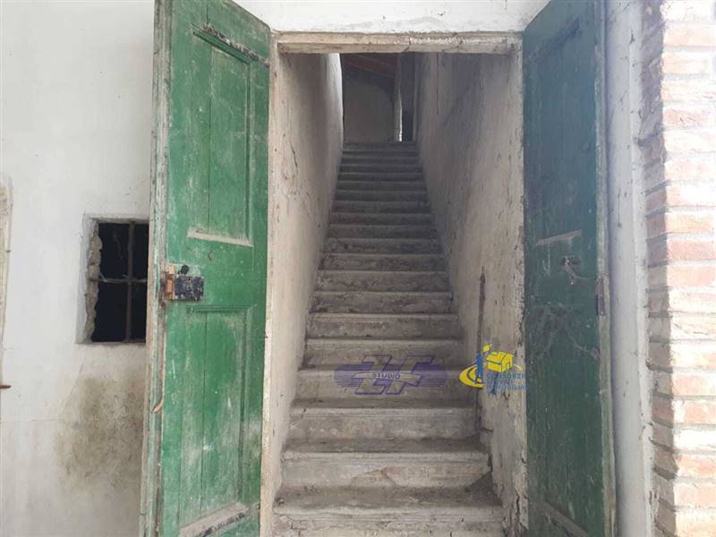 WhatsApp Image 2025-05-20 at 16.21.25 (1).jpeg