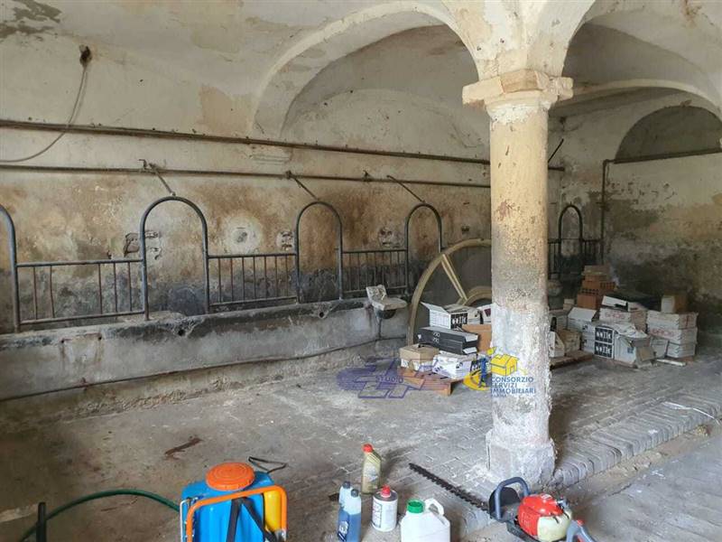 WhatsApp Image 2025-05-20 at 16.17.49 (1).jpeg