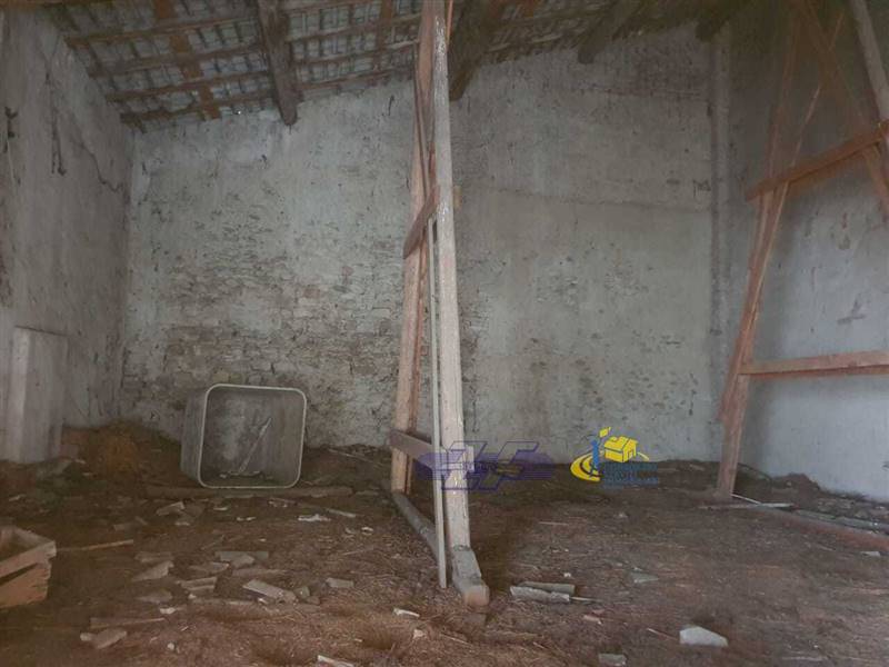 WhatsApp Image 2025-05-20 at 16.17.50.jpeg