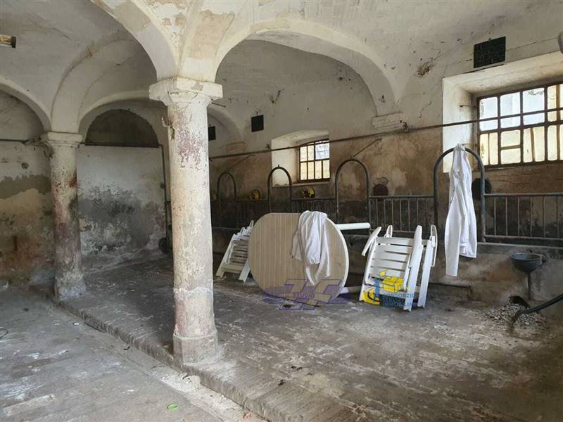 WhatsApp Image 2025-05-20 at 16.17.48.jpeg