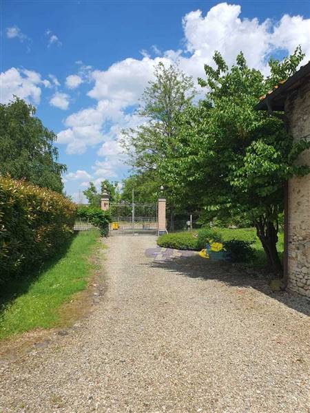 WhatsApp Image 2025-05-20 at 16.27.07.jpeg