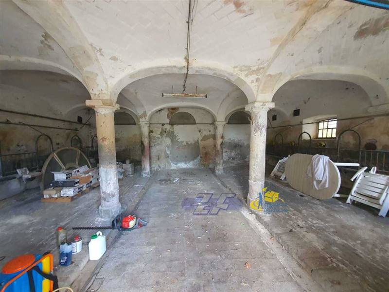 WhatsApp Image 2025-05-20 at 16.17.48 (1).jpeg