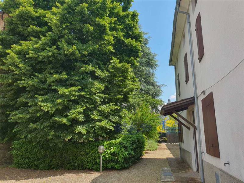 WhatsApp Image 2025-05-20 at 16.13.54.jpeg