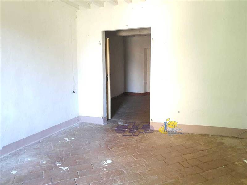 WhatsApp Image 2025-05-20 at 16.02.56.jpeg