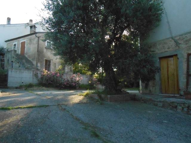 Casa singola in Contrada Molino in zona Molino a Roccamontepiano