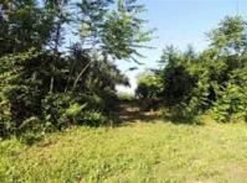 terreno edificabile in vendita a Scafa in zona Marulli