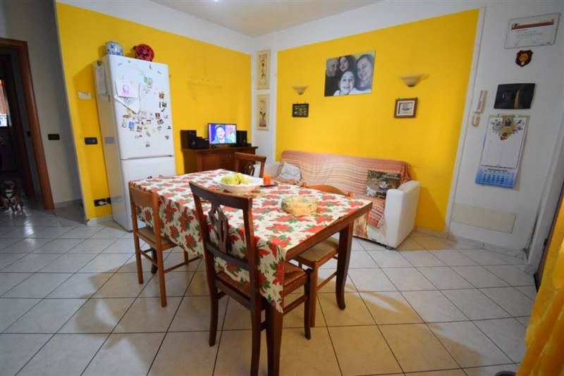 SWTR0830 [1600x1200].JPG