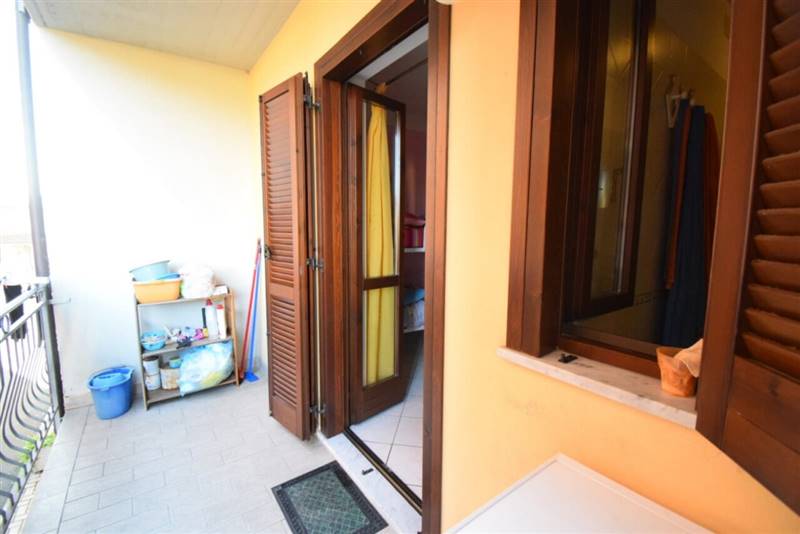 PALH5785 [1600x1200].JPG