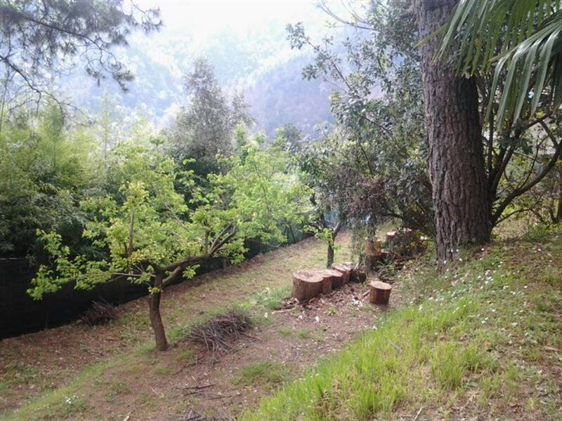 IMG-20140414-WA0003 (Copia).jpg