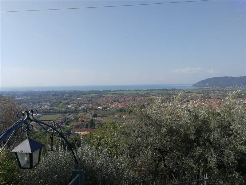 IMG_20180918_100956 (Copy).jpg