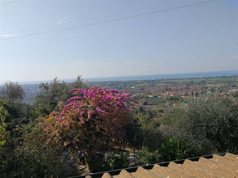 IMG_20180918_101209 (Copy).jpg