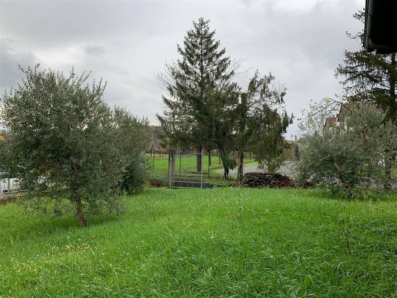 IMG-20191121-WA0002 (Copia).jpg