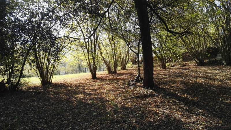 Autunno La Costa di Gavedo.jpg