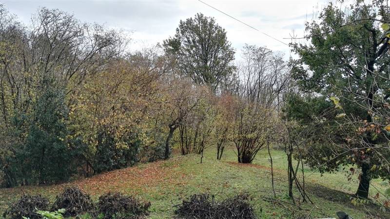 Autunno La Costa di Gavedo5.jpg