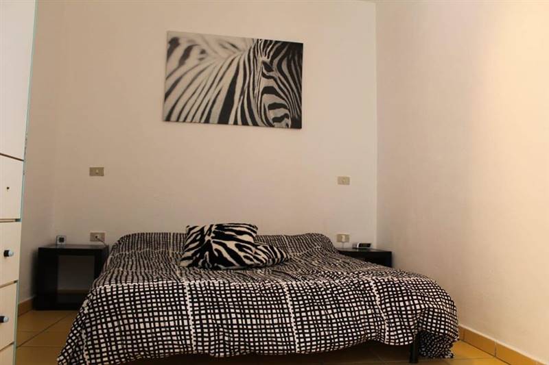 106517803_10220350411262253_2884935083675601345_o.