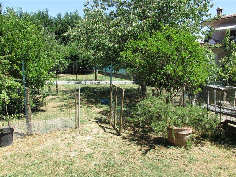 IMG_2206 (Copia).JPG