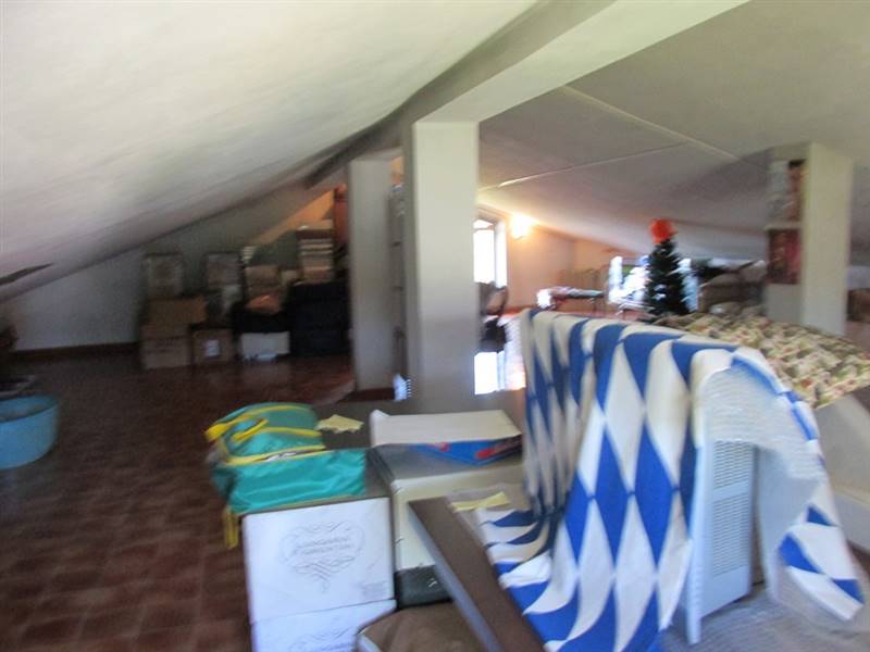 IMG_2199 (Copia).JPG