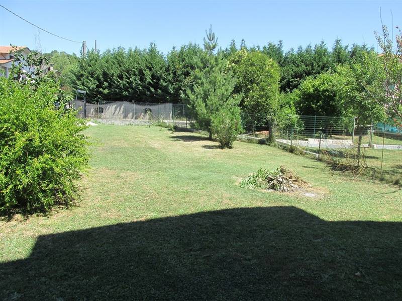 IMG_2205 (Copia).JPG