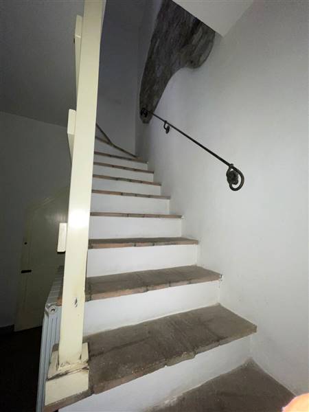 WhatsApp Image 2021-08-27 at 16.15.04.jpeg