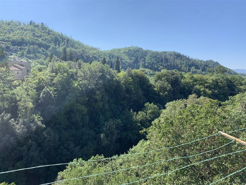 IMG_8294 (Copia).JPG