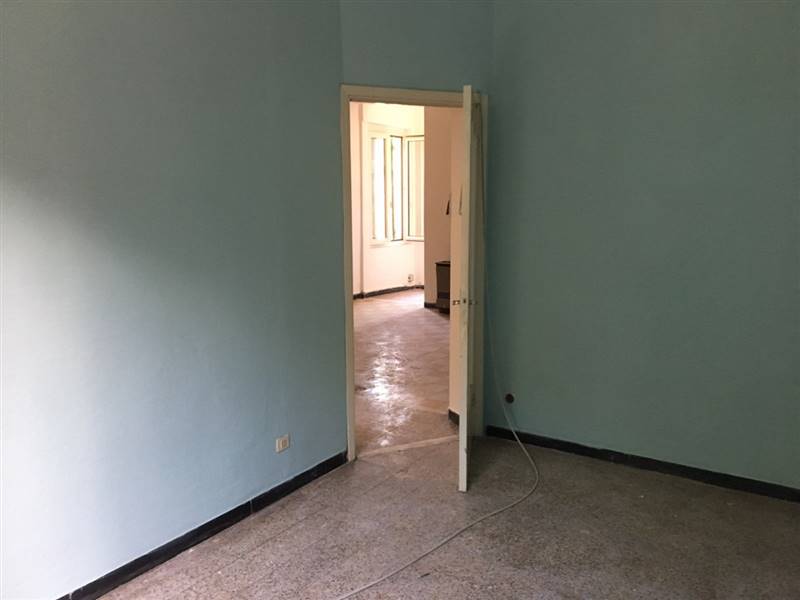 image16 (Copia).jpeg