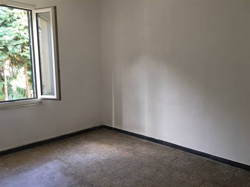 image17 (Copia).jpeg