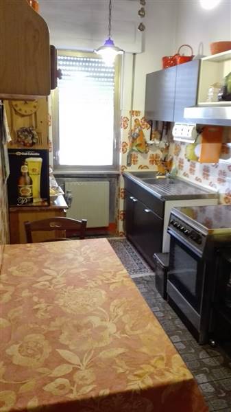 IMG_20160901_110242 (Copia).jpg